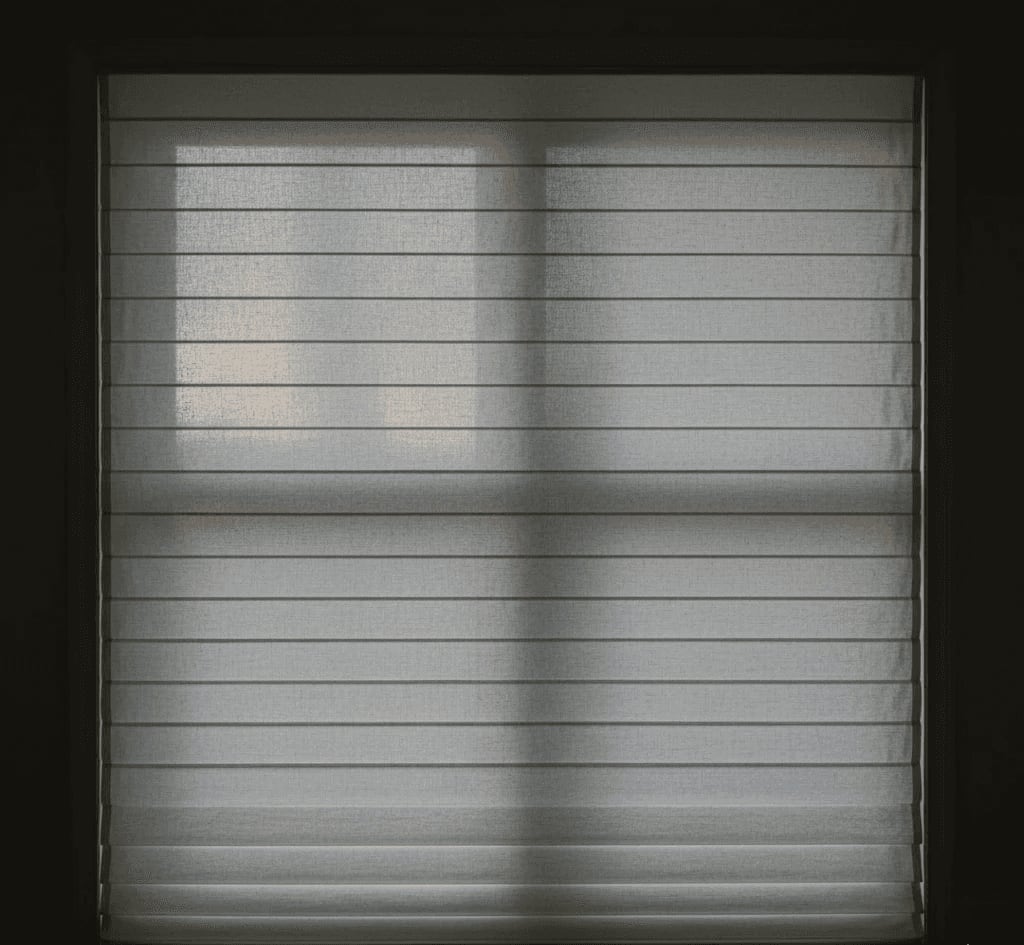 Pleated shades